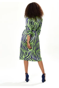 Liquorish Mint And Blue Zebra Print Midi Shirt Dress -Liquosmi Store r5WgrY2H 15399