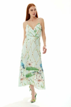 Liquorish Bird Print Cami Maxi Dress In Mint Green -Liquosmi Store vovoaIPZ 10673
