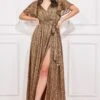 Goddiva Wrap Printed Chiffon Maxi Dress - Animal Print